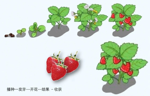 【防疫科普】如何利用園藝療法保持復(fù)工后身心健康？