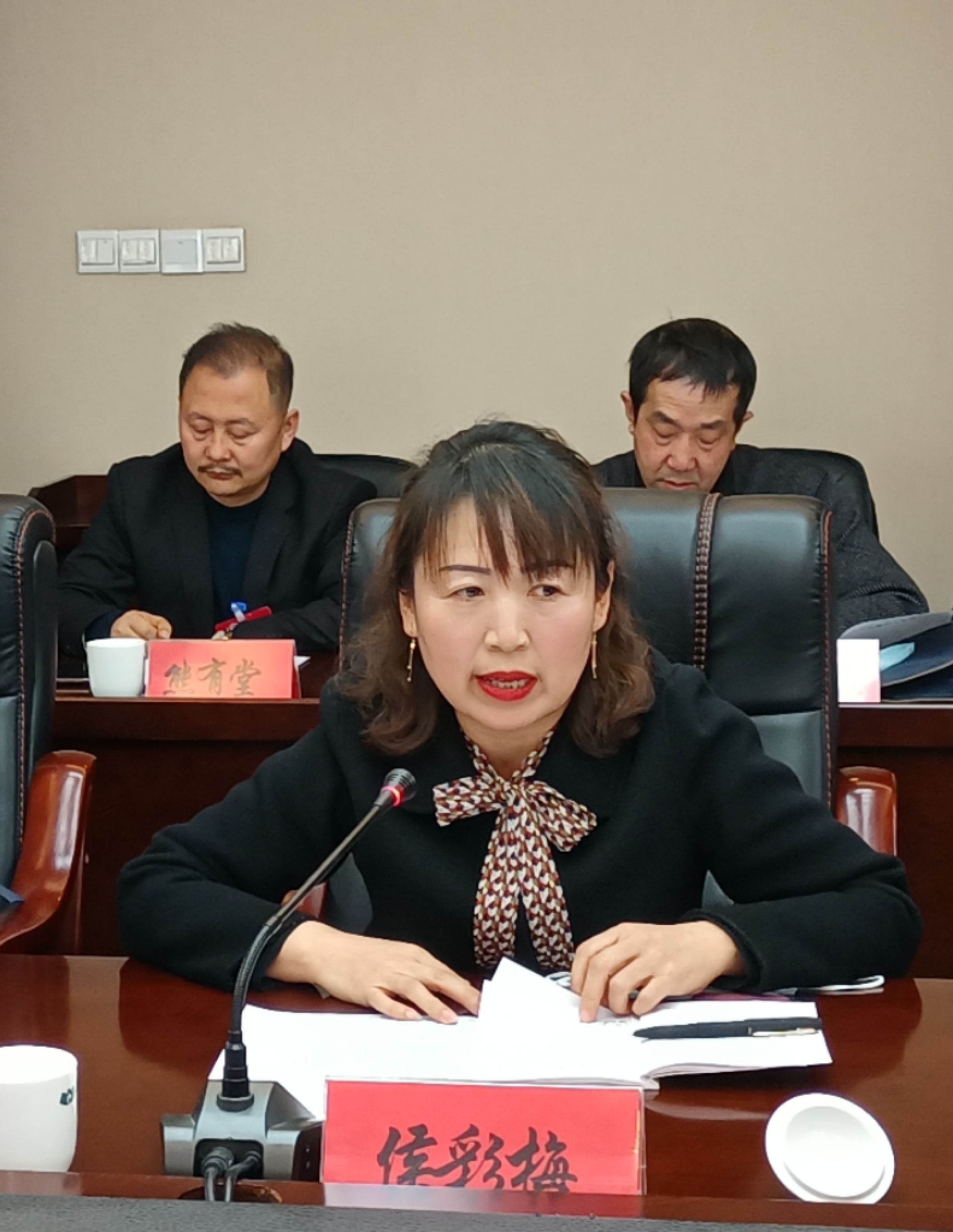 侯彩梅委員在討論發(fā)言時(shí)就規(guī)范農(nóng)村中小學(xué)體育教學(xué)提出了建議。