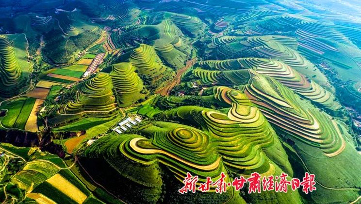 “羊”名立萬正當(dāng)時——環(huán)縣念羊經(jīng)、興羊業(yè)、發(fā)羊財促進(jìn)鄉(xiāng)村振興發(fā)展