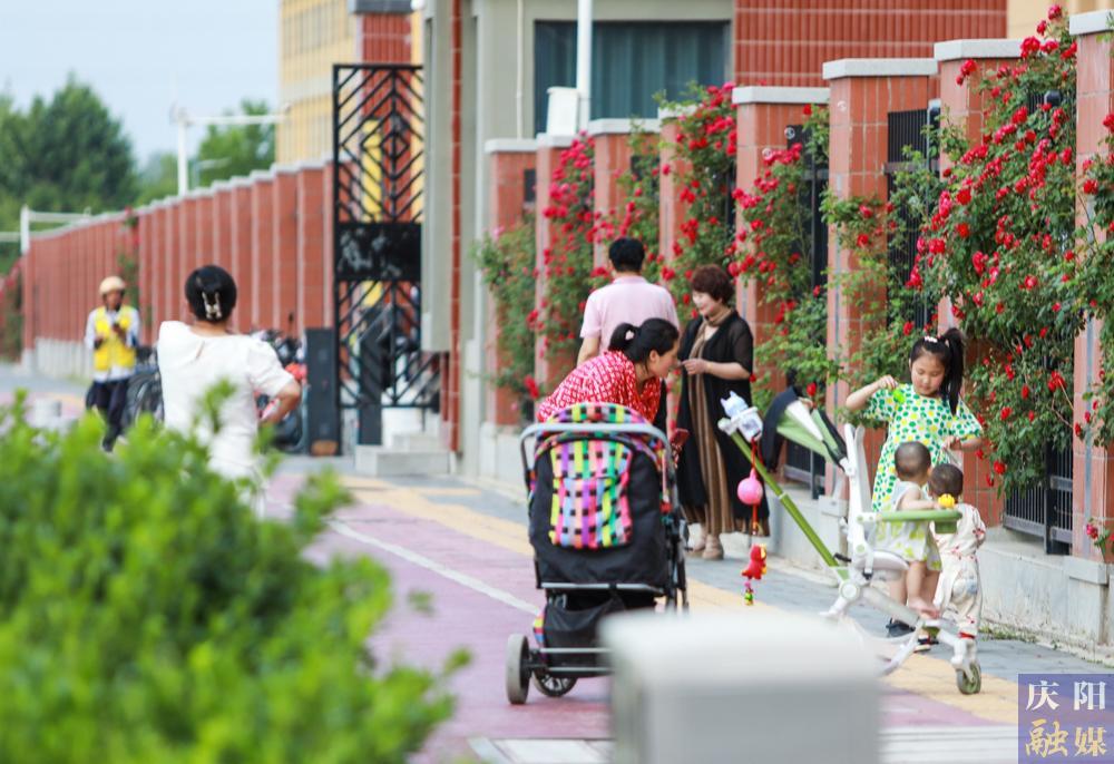 【攝影報道】薔薇花開！邂逅夏日的浪漫